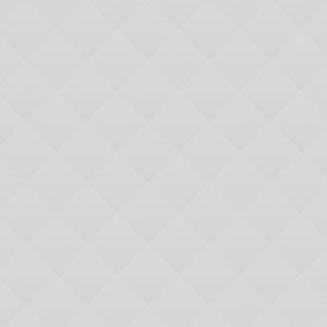 03 Gift Boxed White Roses