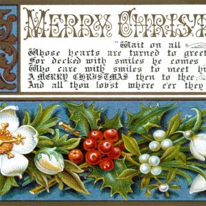 2006AM4921-VIC-xmas-card Una storia (reale) al mese, il mio nuovo progetto