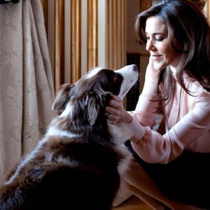 Royal pets per dire no all’abbandono
