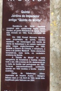 Foto3