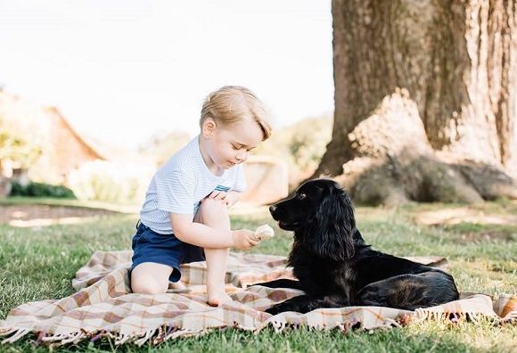 Il principe George di Cambridge ha solo tre anni ed è già una star
