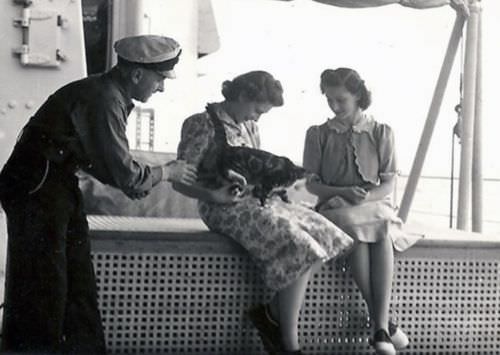 Giornata del Gatto Elisabetta