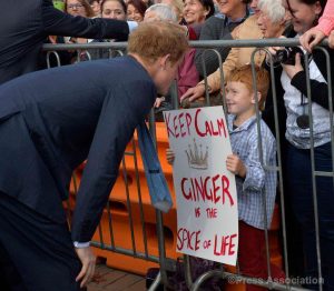 HarryNZ