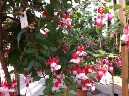 IMG_0475 IMG_0475
