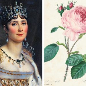 Malmaison Malmaison e le sue rose, il regno magico di Joséphine