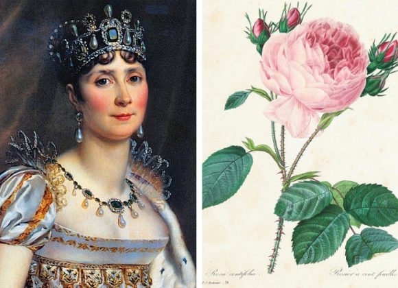 Malmaison e le sue rose, il regno magico di Joséphine