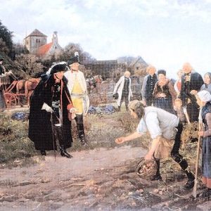 Patate_di_Federico_4 Le patate di Federico il Grande re di Prussia e la scoperta di Parmentier