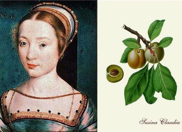 Regina Claudia, la piccola e dolce sovrana che ha dato il nome a una prugna