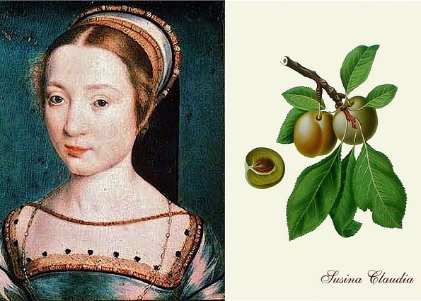 Regina_Claudia Regina Claudia, la piccola e dolce sovrana che ha dato il nome a una prugna