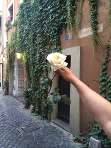 Rosa