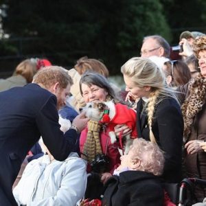 Top_Royal_2016 Il “top royal 2016” (Harry ovviamente) e molti auguri per uno splendido 2017