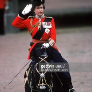 Handmade Software, Inc. Image Alchemy v1.13 Il Trooping the Colour per i 90 anni della regina Elisabetta II