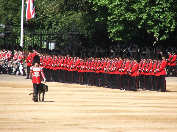 Trooping_5