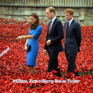 William, Kate e Harry, live su Twitter
