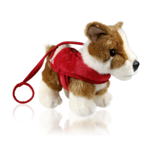 corgi corgi