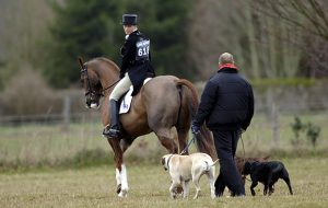 gatcombe2006---a gatcombe2006---a